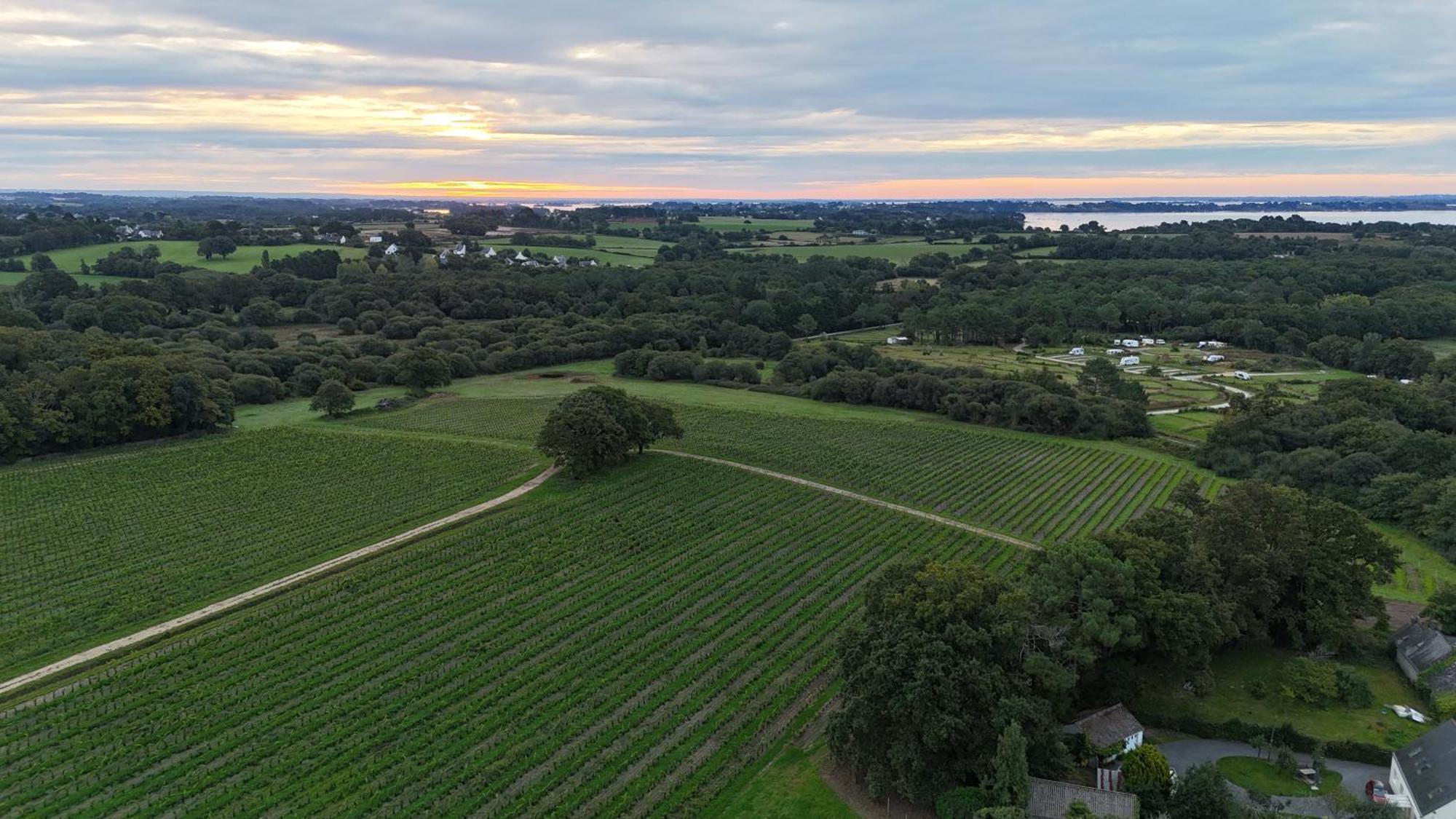 Gite -L'Appart- Au Vignoble Domaine Lamballe, Baden, Golfe Du Morbihan Exterior photo