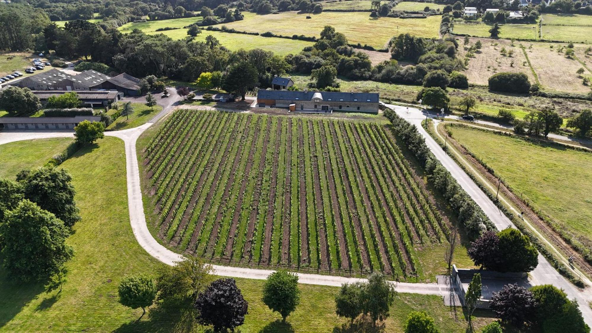 Gite -L'Appart- Au Vignoble Domaine Lamballe, Baden, Golfe Du Morbihan Exterior photo